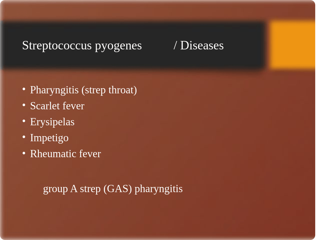 Streptococcus pyogenes- Rachel.pptx_dt83qjcnp8y_page1