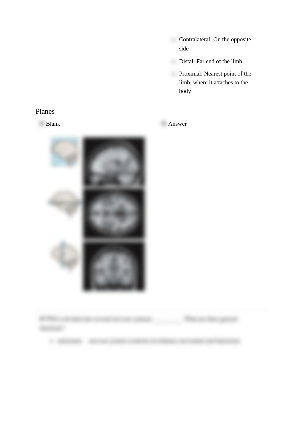 Practice_Exams_and_Questions_1.pdf_dt8cfq6acgm_page4