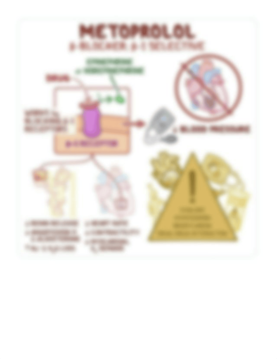 Beta Blockers.docx_dt8ct9cv647_page3