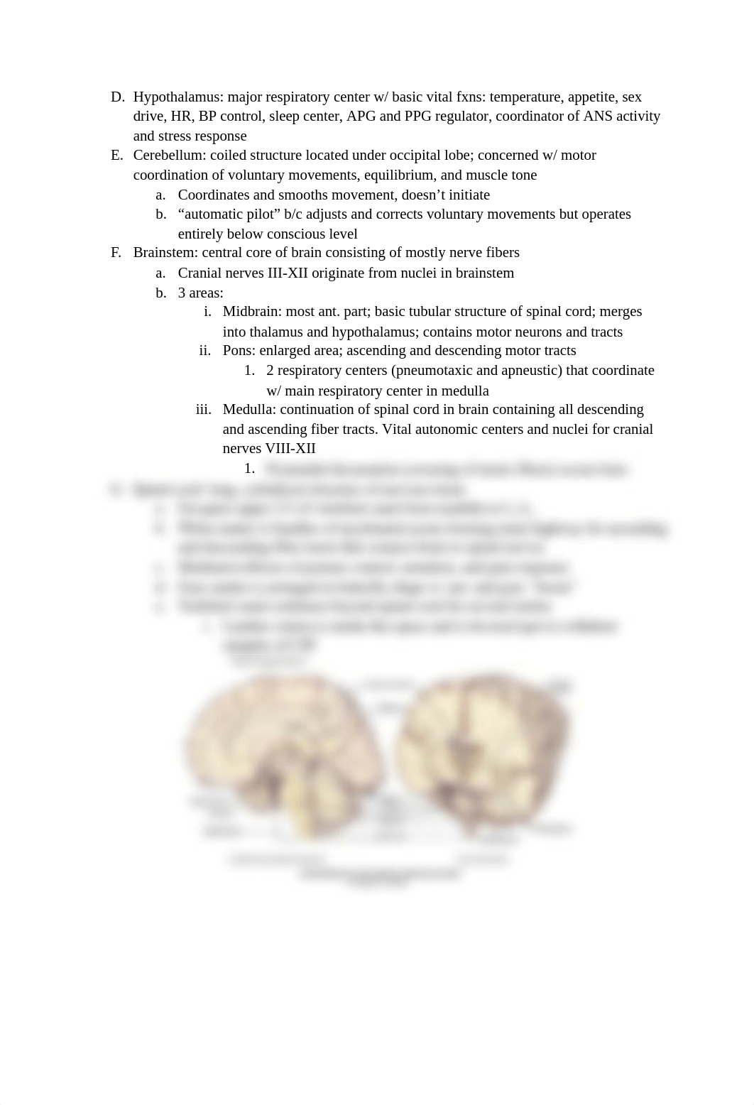 Jarvis CH 24-Neurological System.docx_dt8iopkquo0_page2