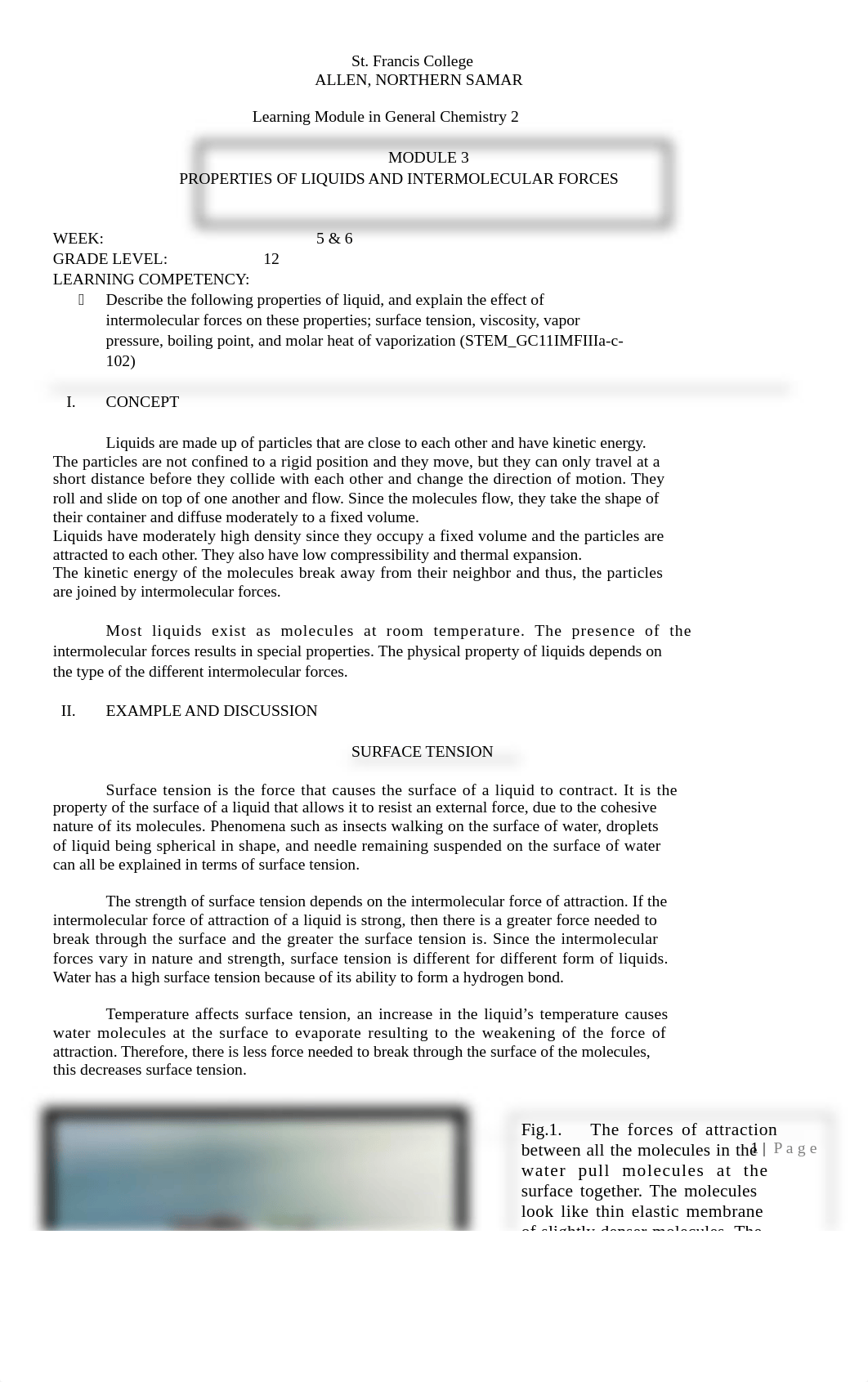 module.docx_dt8ueuwotw1_page1