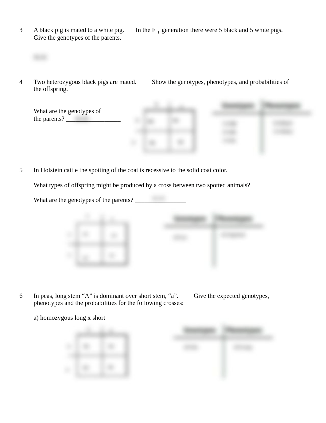 Monohybrid Worksheet (1).pdf_dt8yl7y6v6k_page2