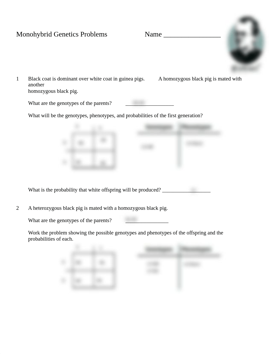 Monohybrid Worksheet (1).pdf_dt8yl7y6v6k_page1