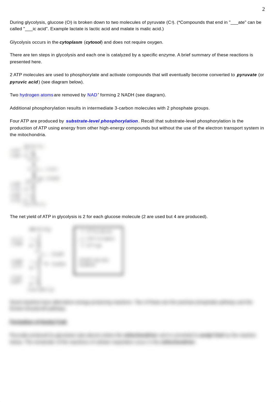 cellular respiration Ch 9_dt9916sjif2_page2