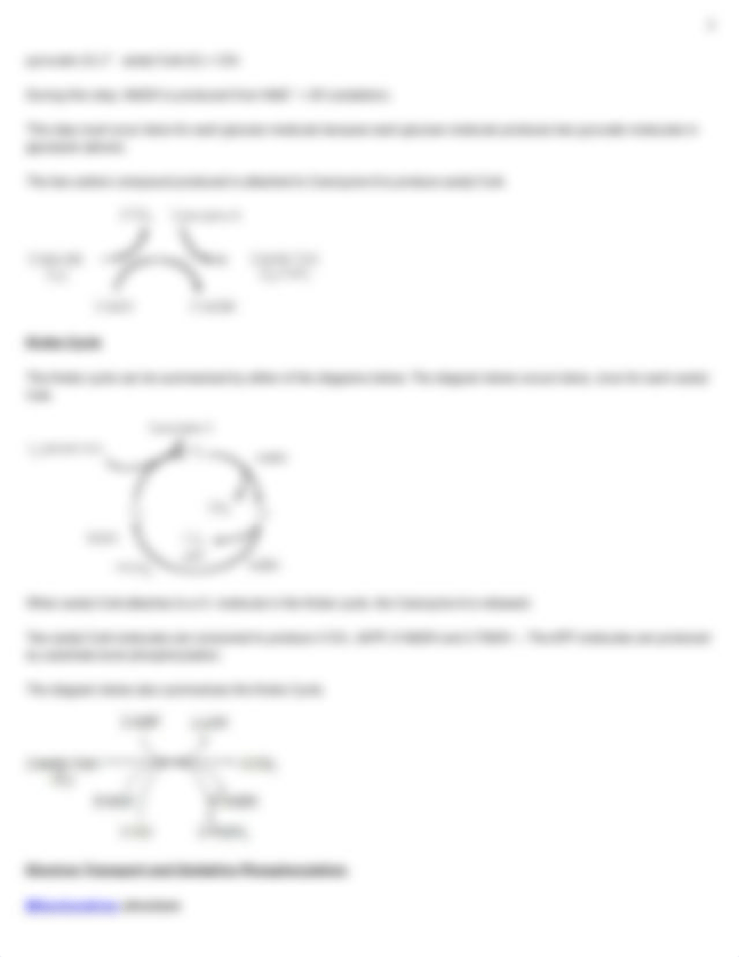 cellular respiration Ch 9_dt9916sjif2_page3