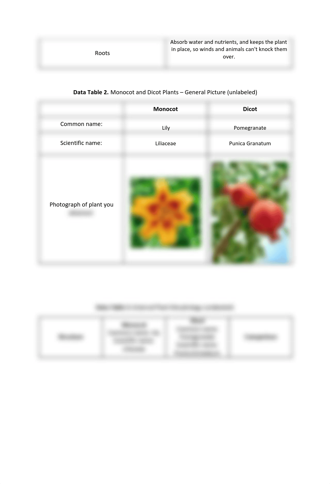 Worksheet 8.pdf_dt9bntzadgx_page2