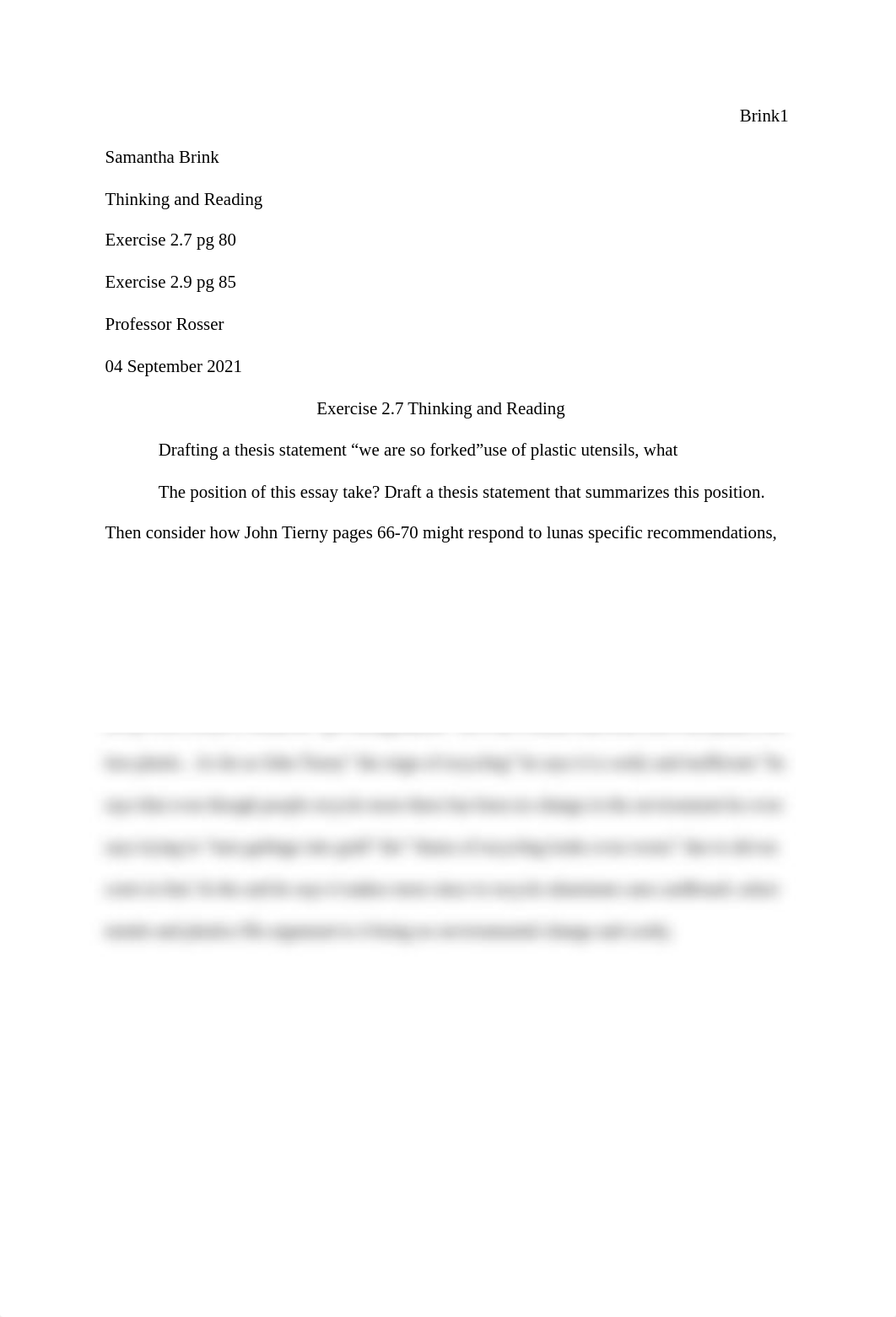 Report.pdf_dt9n33dq0nm_page1