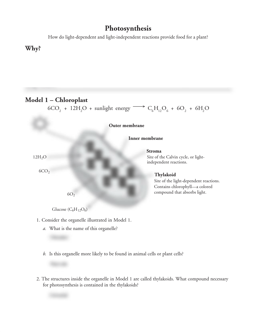 EDITABLE Photosynthesis POGIL.pdf_dt9t9bzqynx_page1