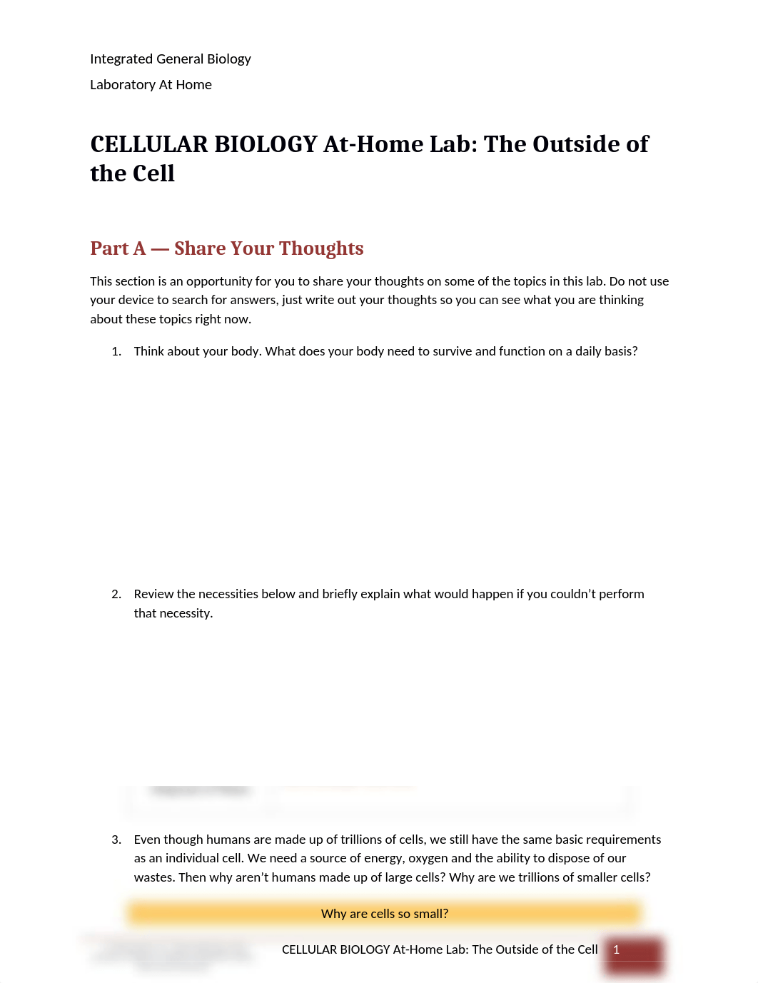 Outside of the cell At home lab Cellular biology.docx_dta57k3ds9r_page1