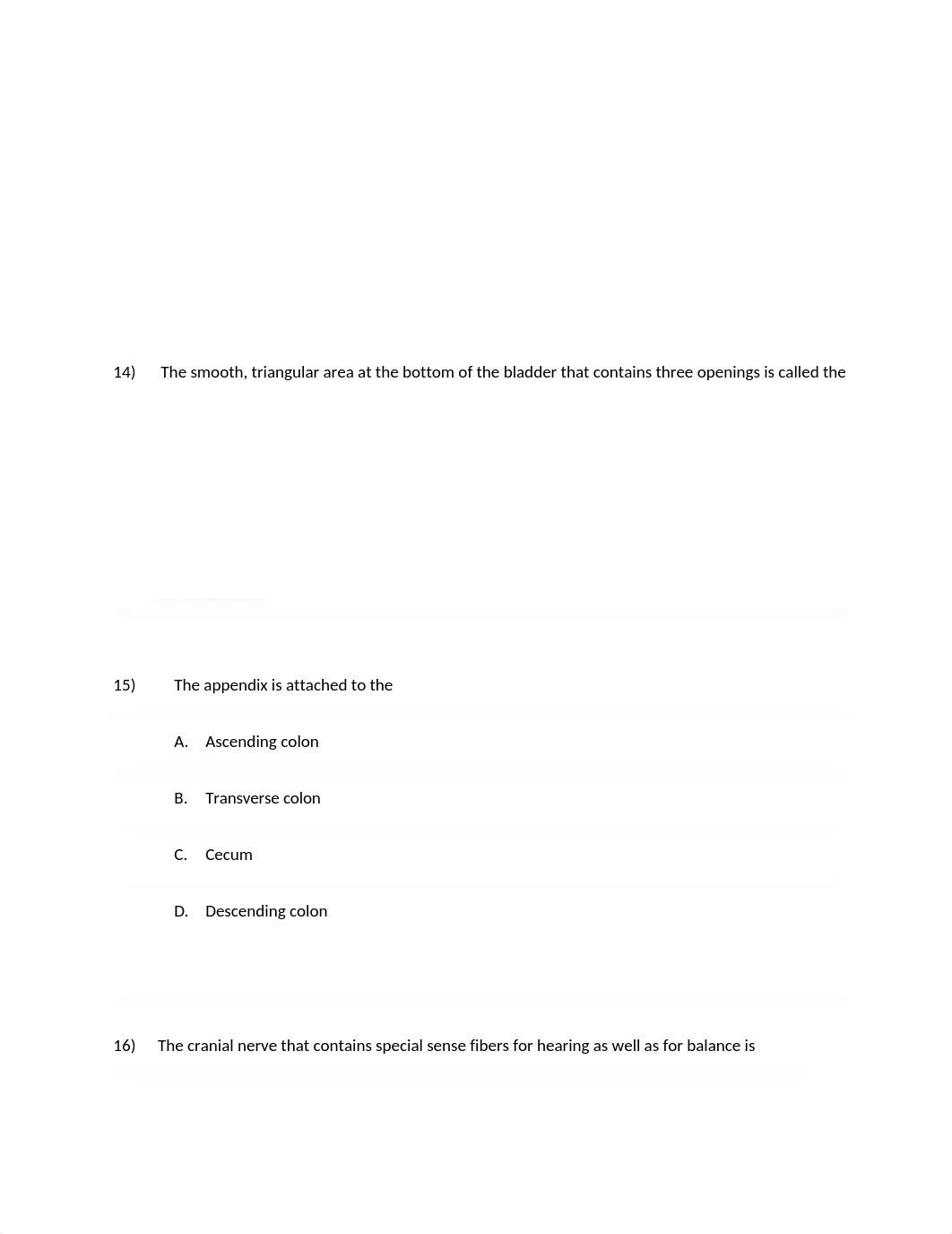 ST quiz 1 no answers.docx_dtalajddzk6_page4