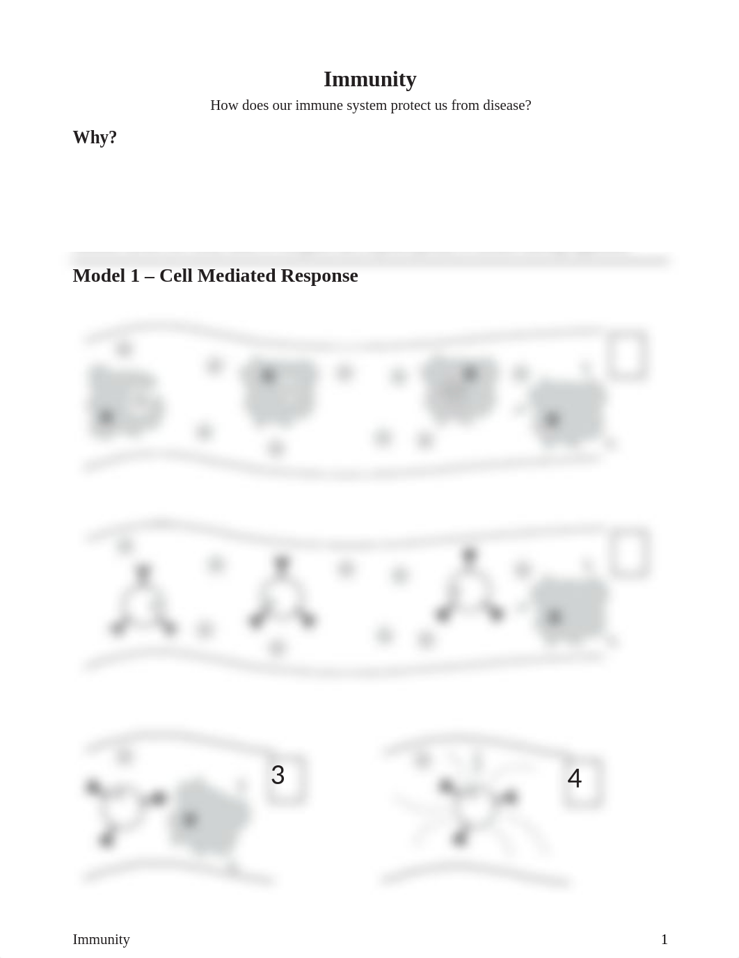 BIO 313 Mod1 Immunity POGIL.docx_dtalj3kafsq_page1