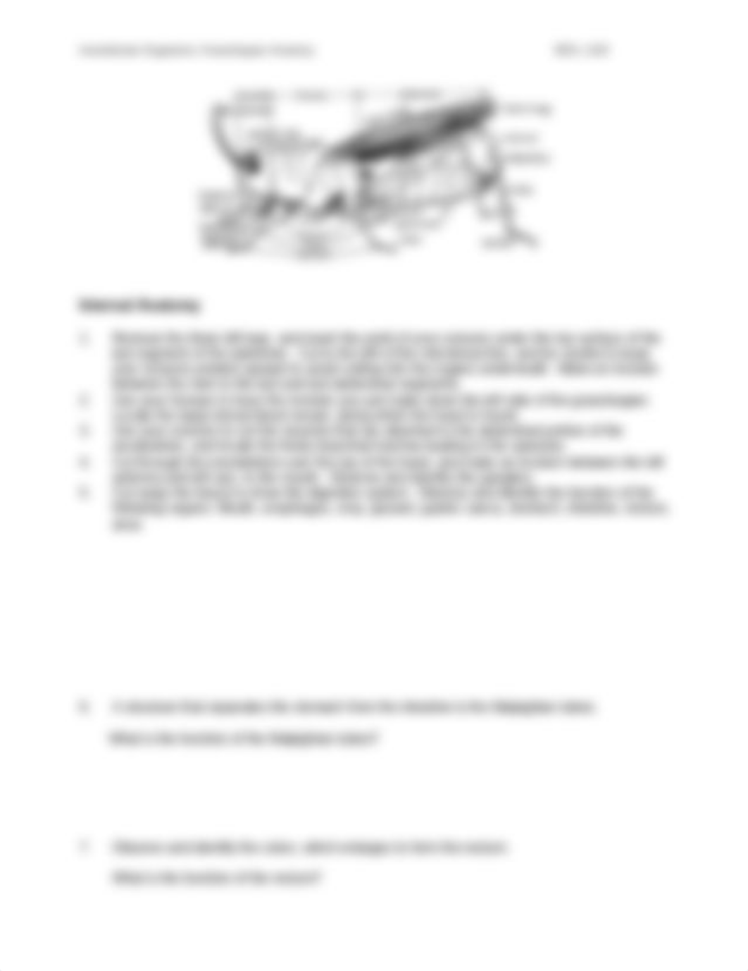 8c DISSECTION LAB_Invertebrate Organisms-Grasshopper Anatomy.pdf_dtalknw6z88_page2