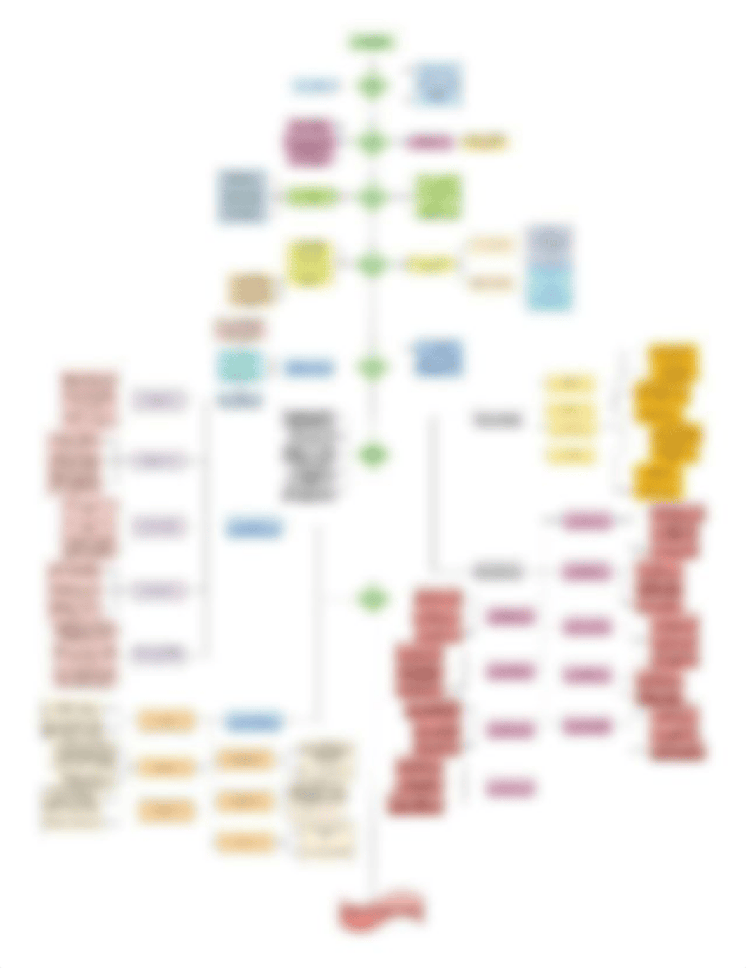 Canine Nutrition Diagram.jpg_dtalmemabmh_page1