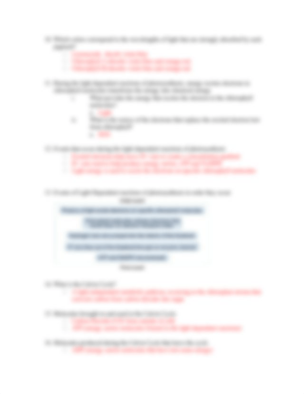 Chapter 5 of bio study guide.docx_dtaojhikojj_page4