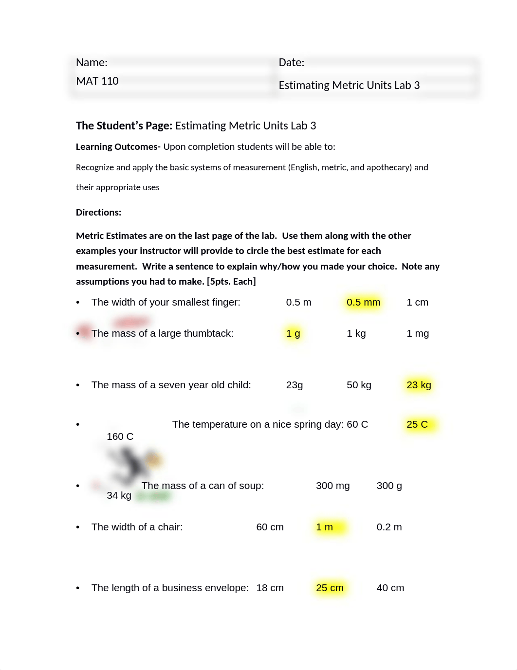 Estimating Metric Units Lab 3_SV (1).docx_dtascyu7t5a_page1