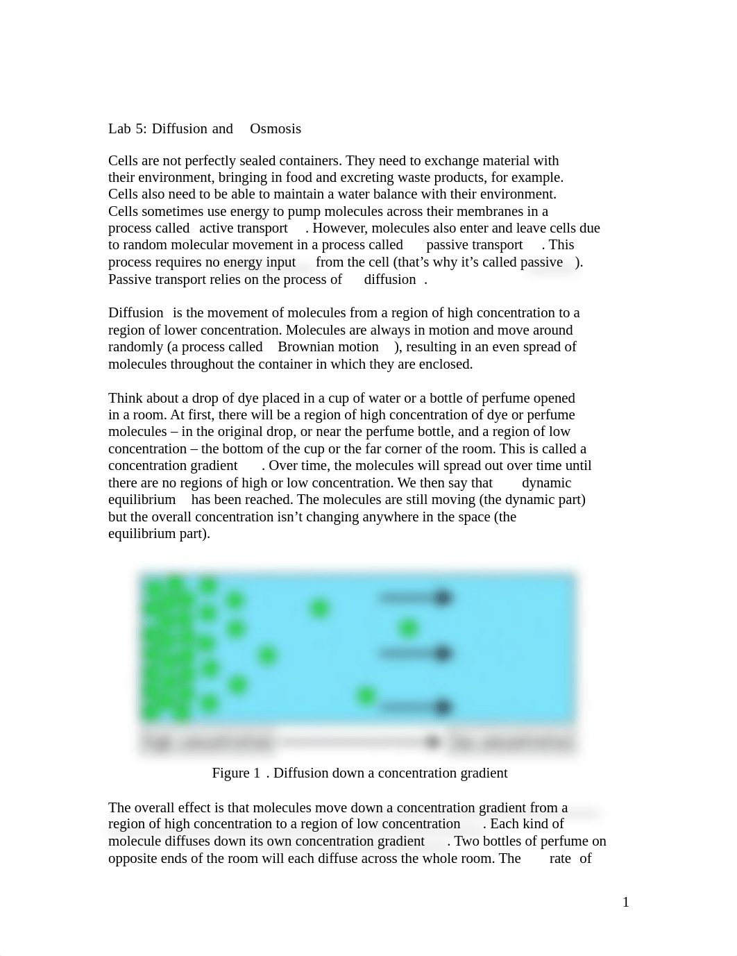 Difussion and Osmosis Lab.docx_dtatshtlcoo_page1