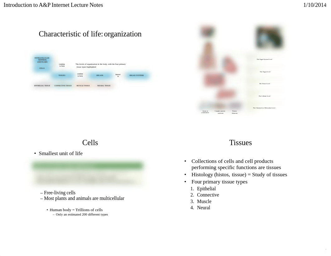 Lecture 1 Notes Packet (intro)_dtba3tdzfvw_page2