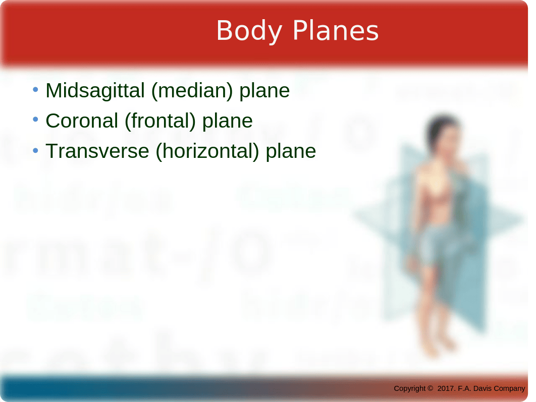 CH 04 PPT Body Structure.pptx_dtba5d95fa4_page3