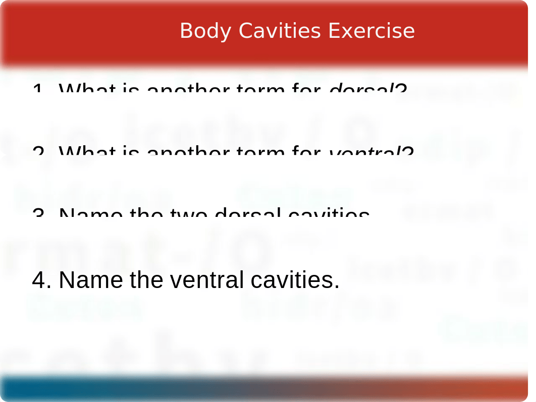 CH 04 PPT Body Structure.pptx_dtba5d95fa4_page5