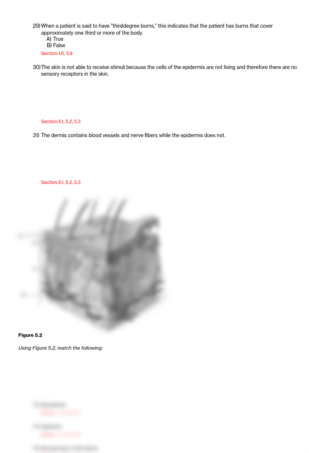 05. Integumentary Study Questions.pdf_dtbl3spobzk_page2