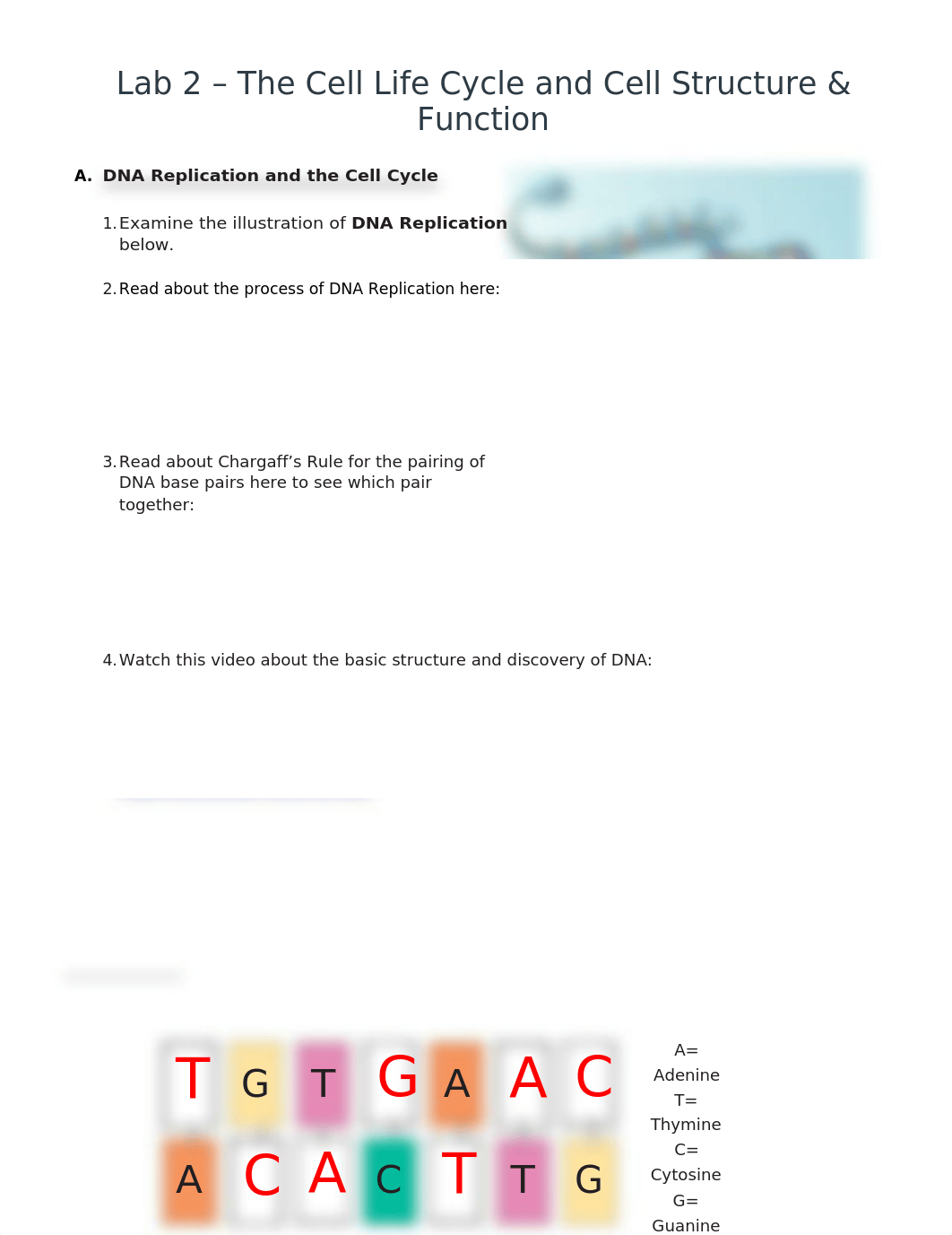 Lab 2 The Cell Life Cycle and Cell Structure & Function.docx_dtbohwxszjt_page1