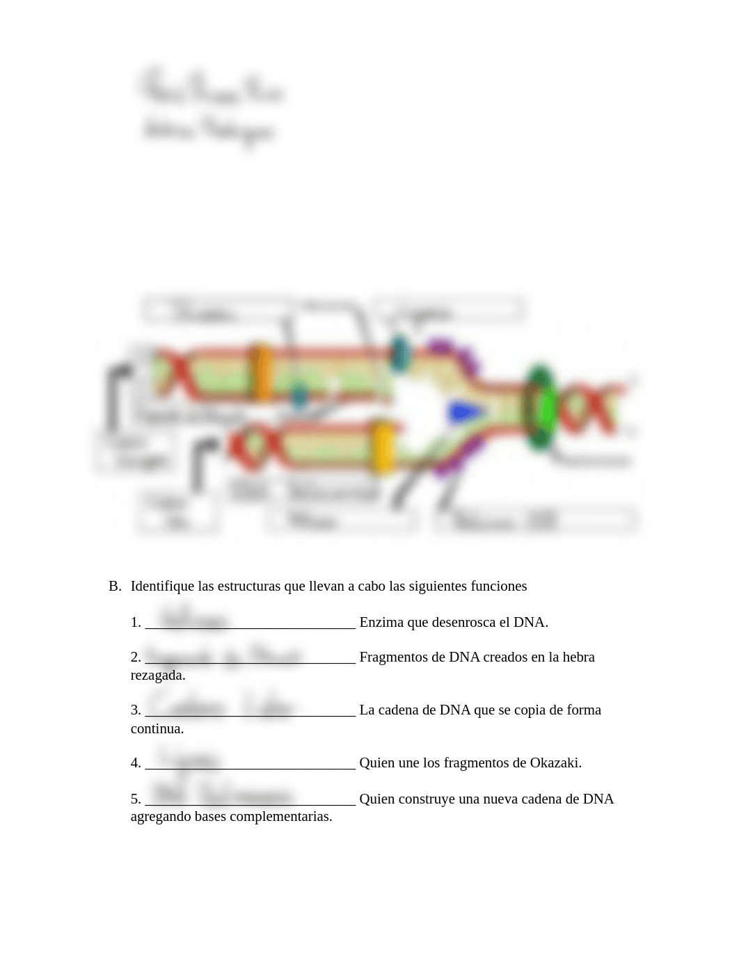 Replicacióntranscripción_46e8d1c21768a5c04020893588a1e118.pdf_dtbuavwyj8b_page1