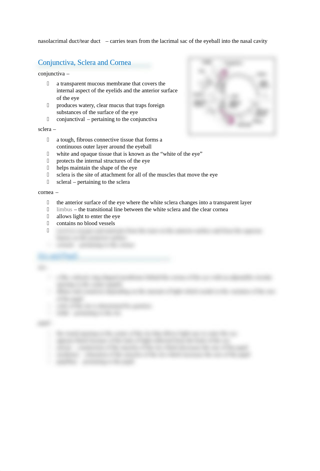 CH 15 - OPHTHALMOLOGY - HLTH 110-3.docx_dtbv2asb2q9_page2