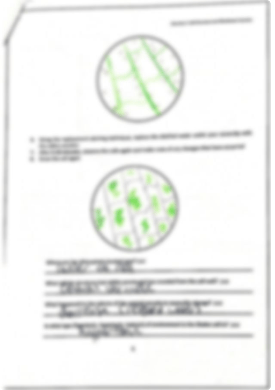 Lab 5- Cell Structure and Membrane Function_dtbzokpq20k_page5