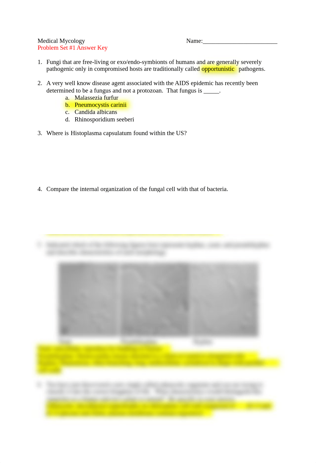 Medical Mycology Problem Set 1 Spring 2021 ANSWER KEY (1).docx_dtbzr86l2q2_page1