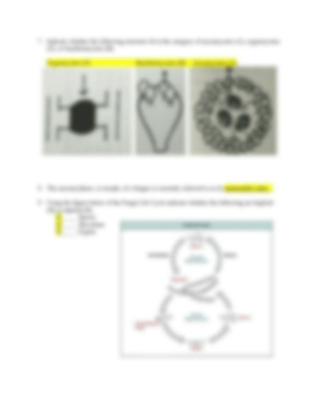 Medical Mycology Problem Set 1 Spring 2021 ANSWER KEY (1).docx_dtbzr86l2q2_page2