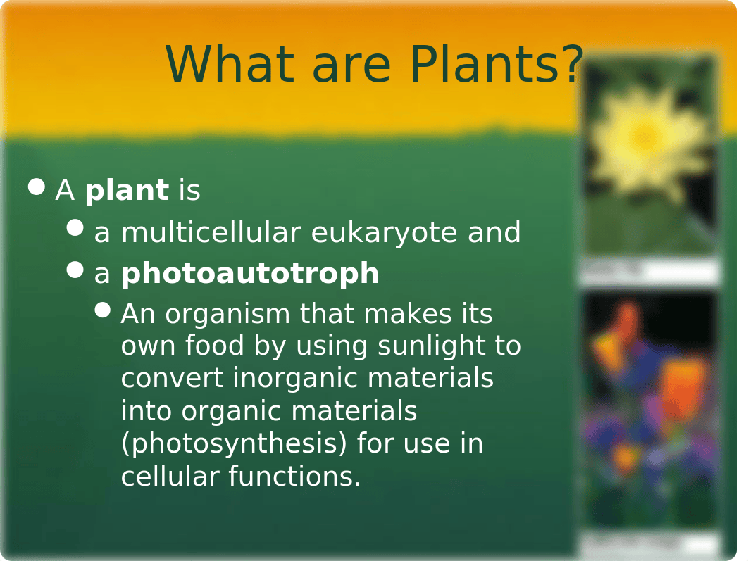 Plants and Ecology_dtc0m1btm6w_page2