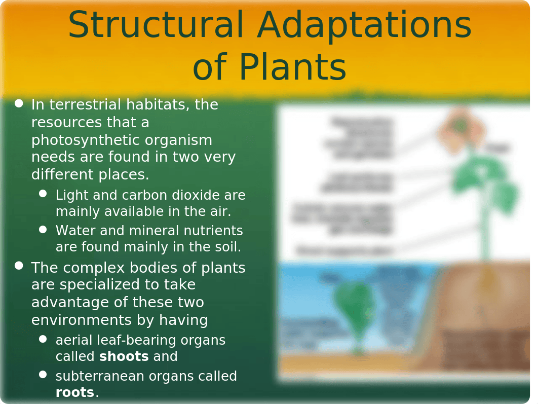 Plants and Ecology_dtc0m1btm6w_page3