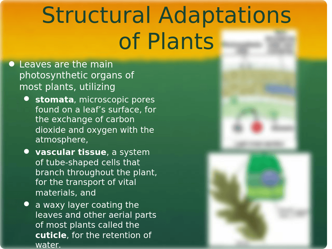 Plants and Ecology_dtc0m1btm6w_page5