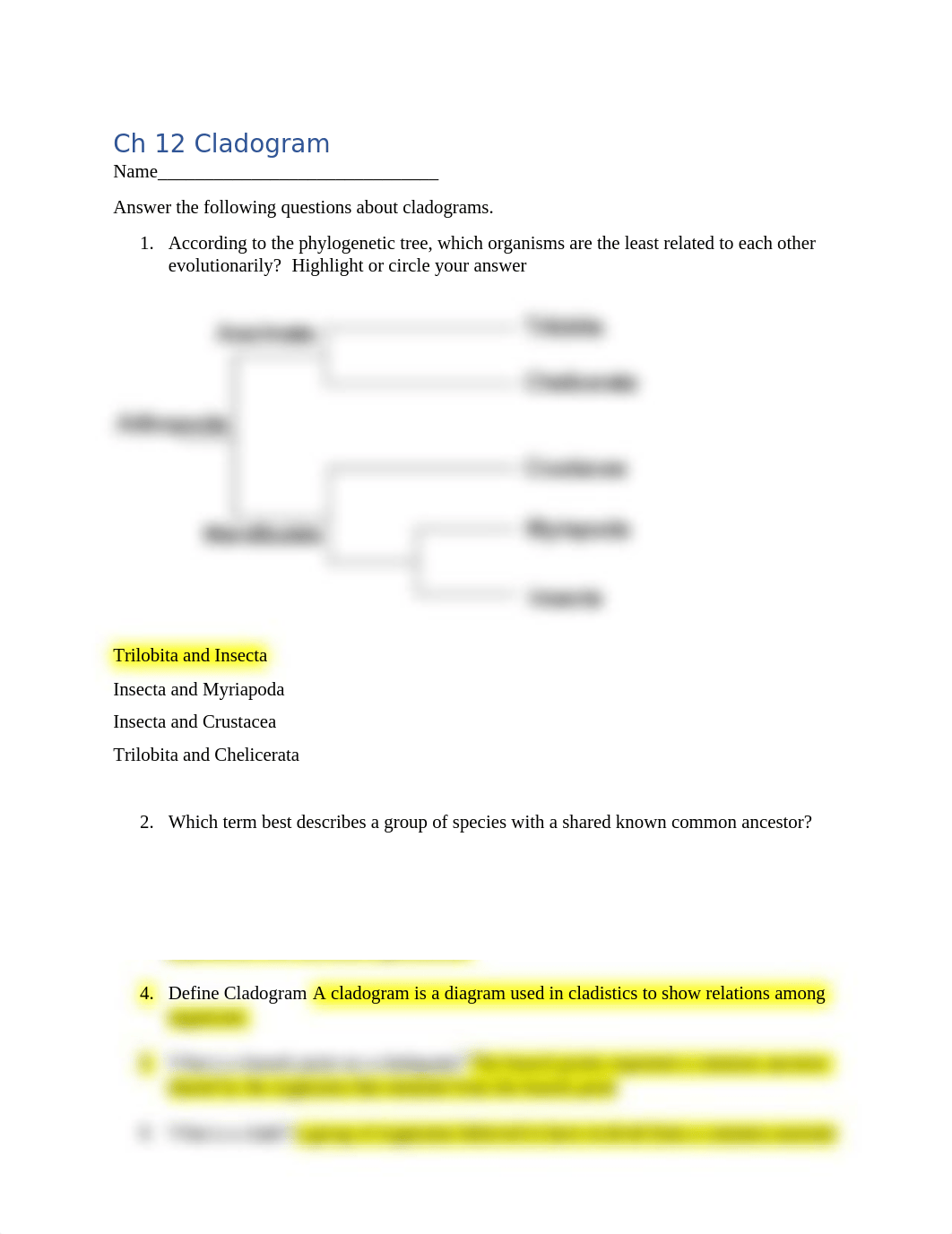 Ch 12 Cladogram.docx_dtcjcjzmnzs_page1