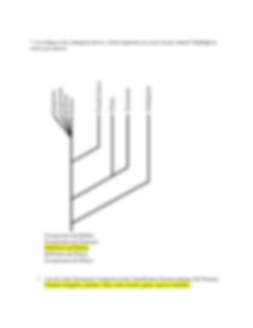 Ch 12 Cladogram.docx_dtcjcjzmnzs_page2