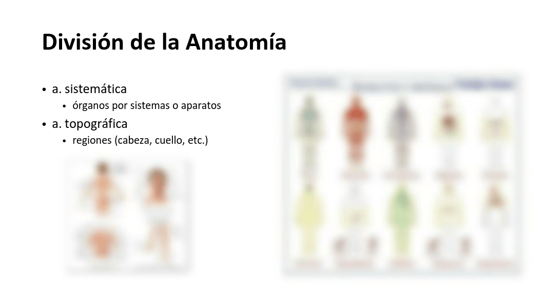 TEMA 1. INTRODUCCION ANATOMIA.pdf_dtcmnrgsh02_page4