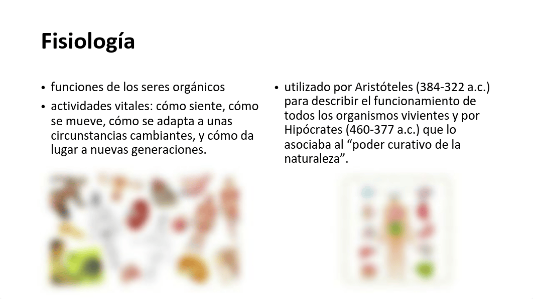 TEMA 1. INTRODUCCION ANATOMIA.pdf_dtcmnrgsh02_page3