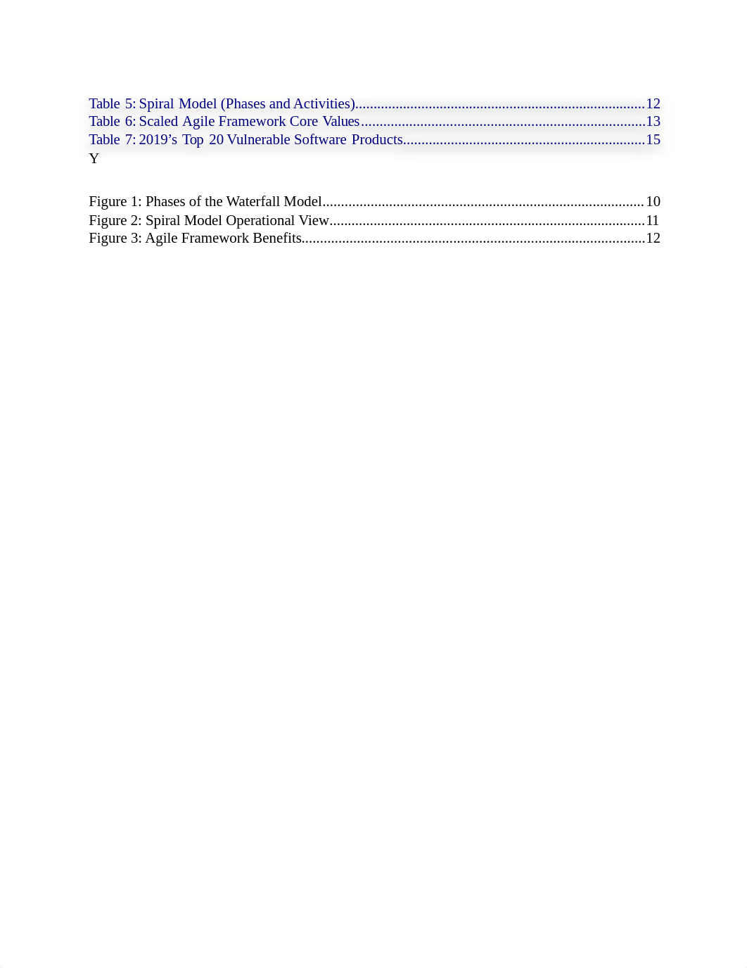 Software_Vulnerability_Assessment___Final__Update WORDd_.docx_dtcnkhnqo3a_page4