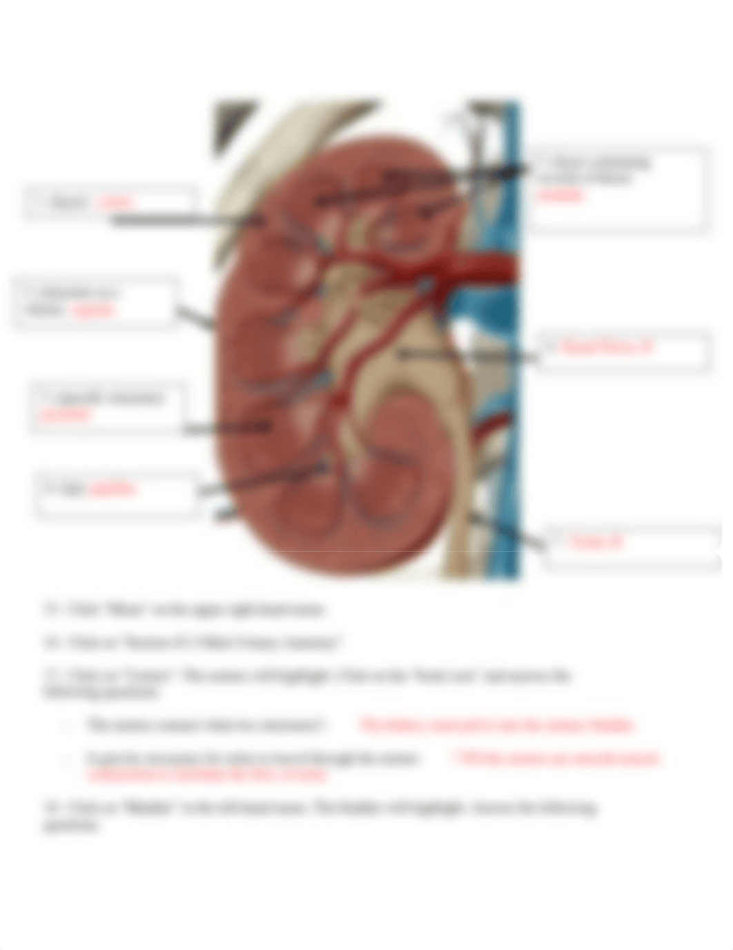 Fianl lab 11.docx_dtcxo8a4cb0_page3