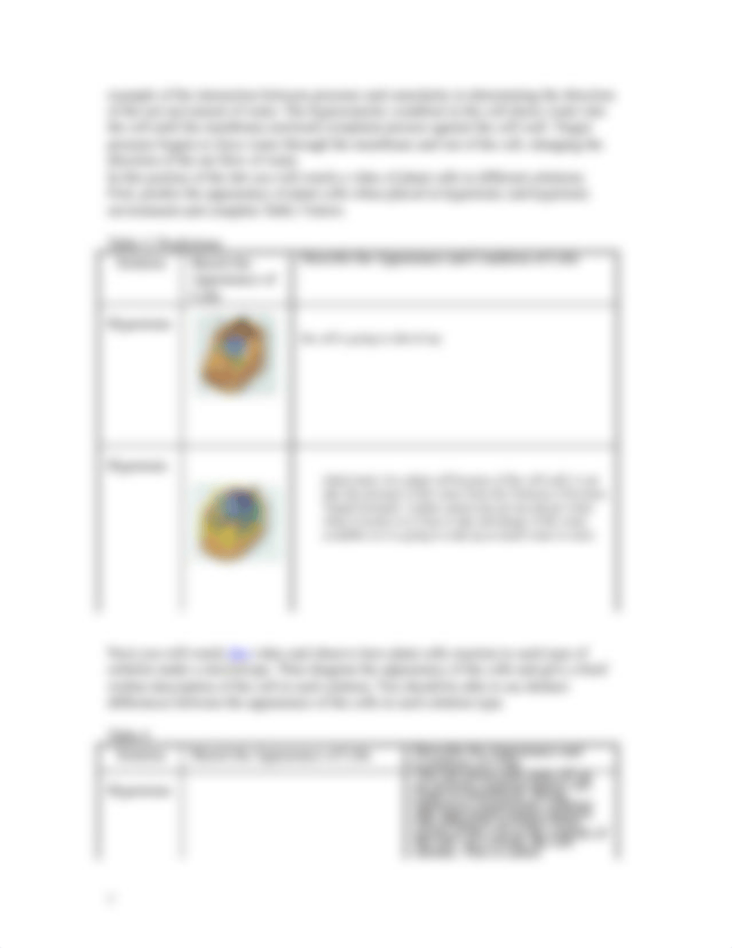 Osmosis-1 with answers-1.docx_dtcynkhwc7v_page3