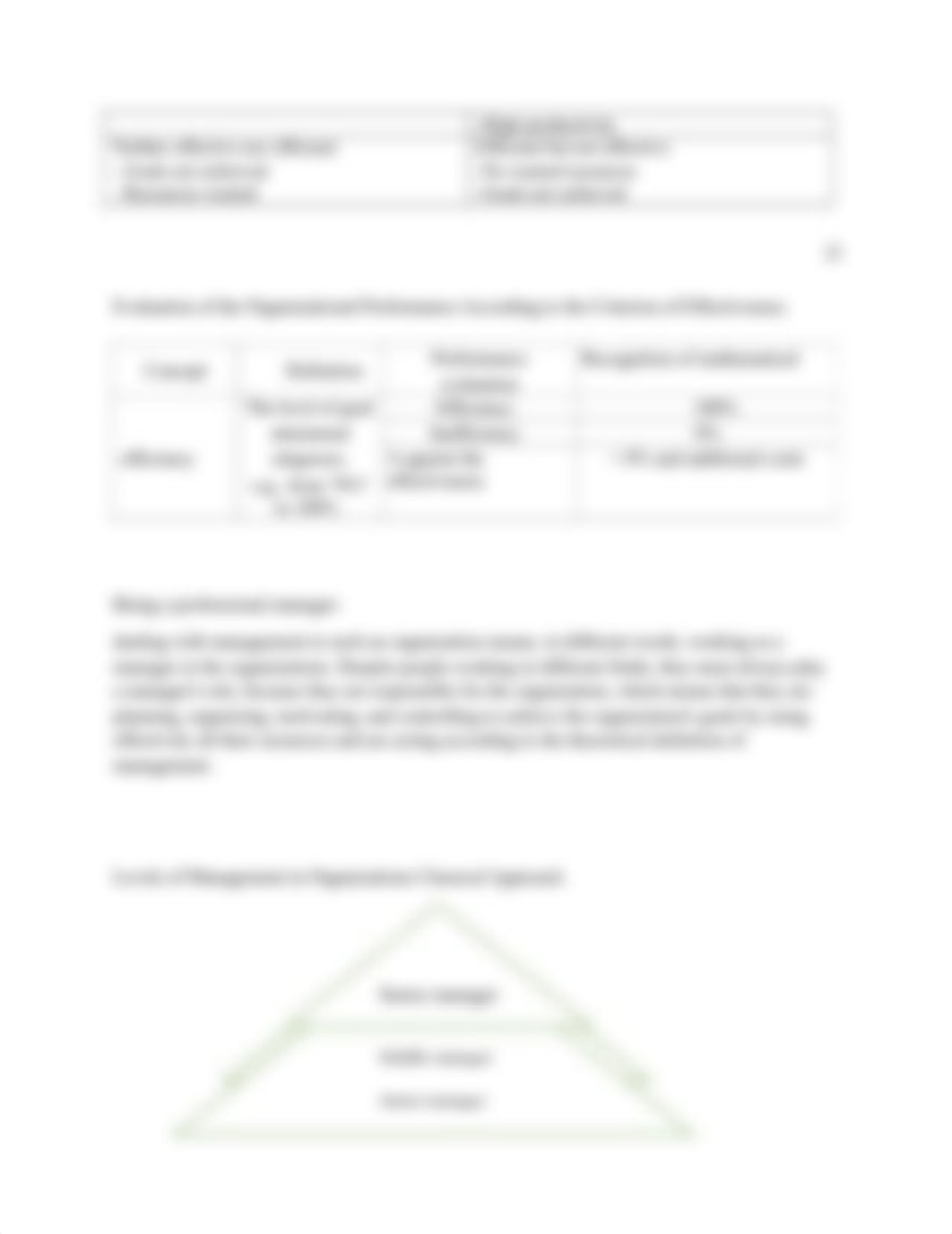 Case study 1# - Managment theory - Summary.docx_dtd8vwd63b9_page3