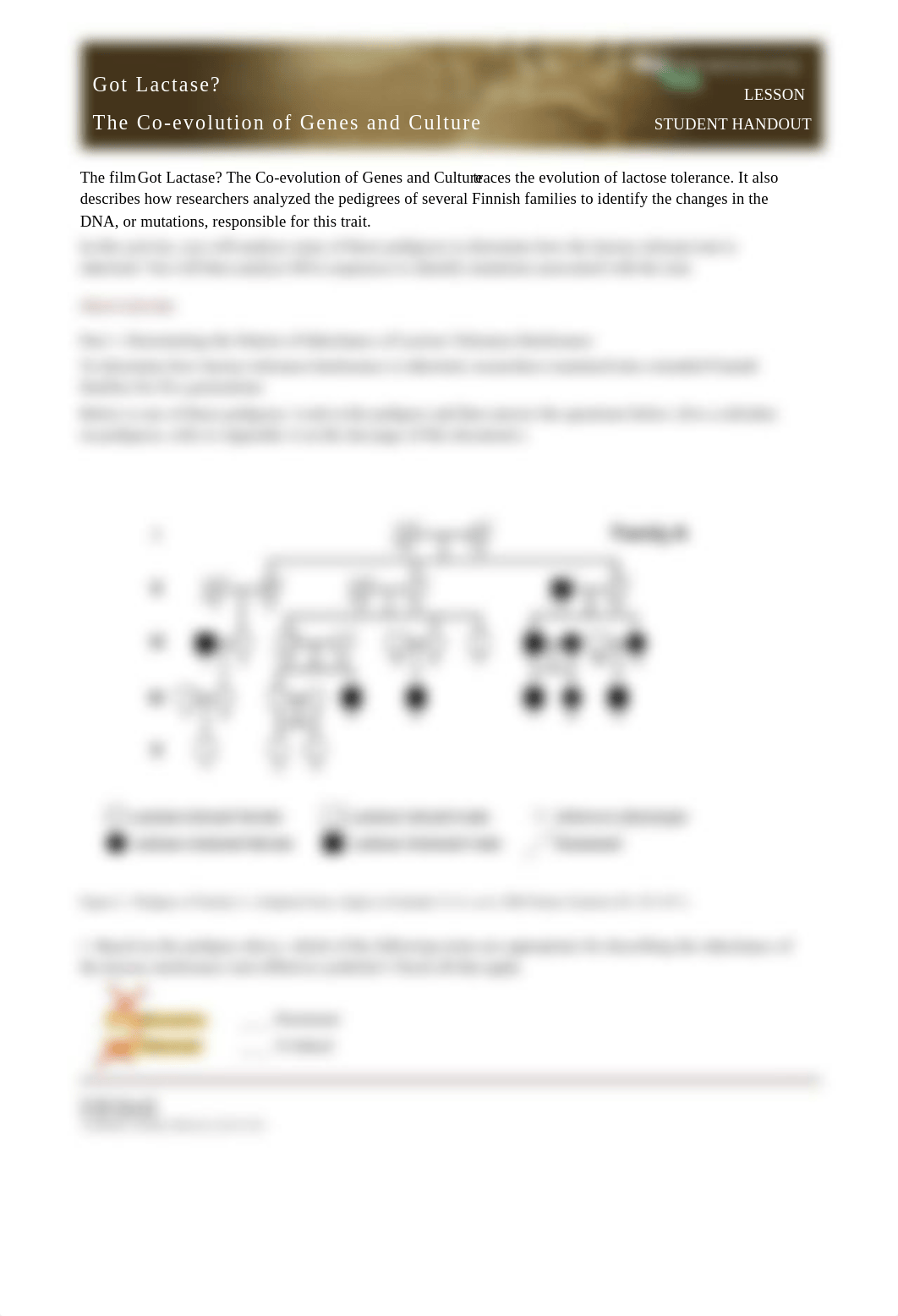 Lactase_Pedigrees_Patterns_Inheritance_Student.pdf_dtdgznn9ogs_page2