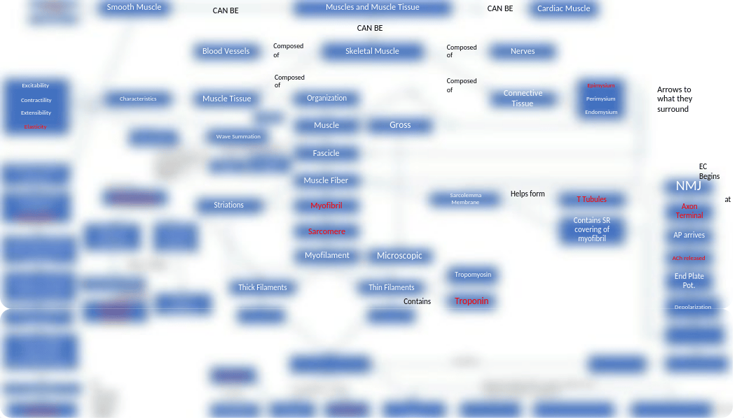 Muscles Concept Map Project.pptx_dtdi49r1hd5_page2