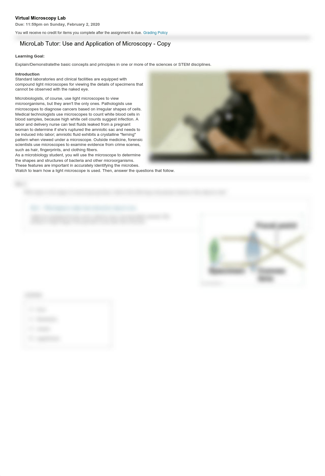 Virtual Microscopy Lab.pdf_dtdiim1u3qc_page1