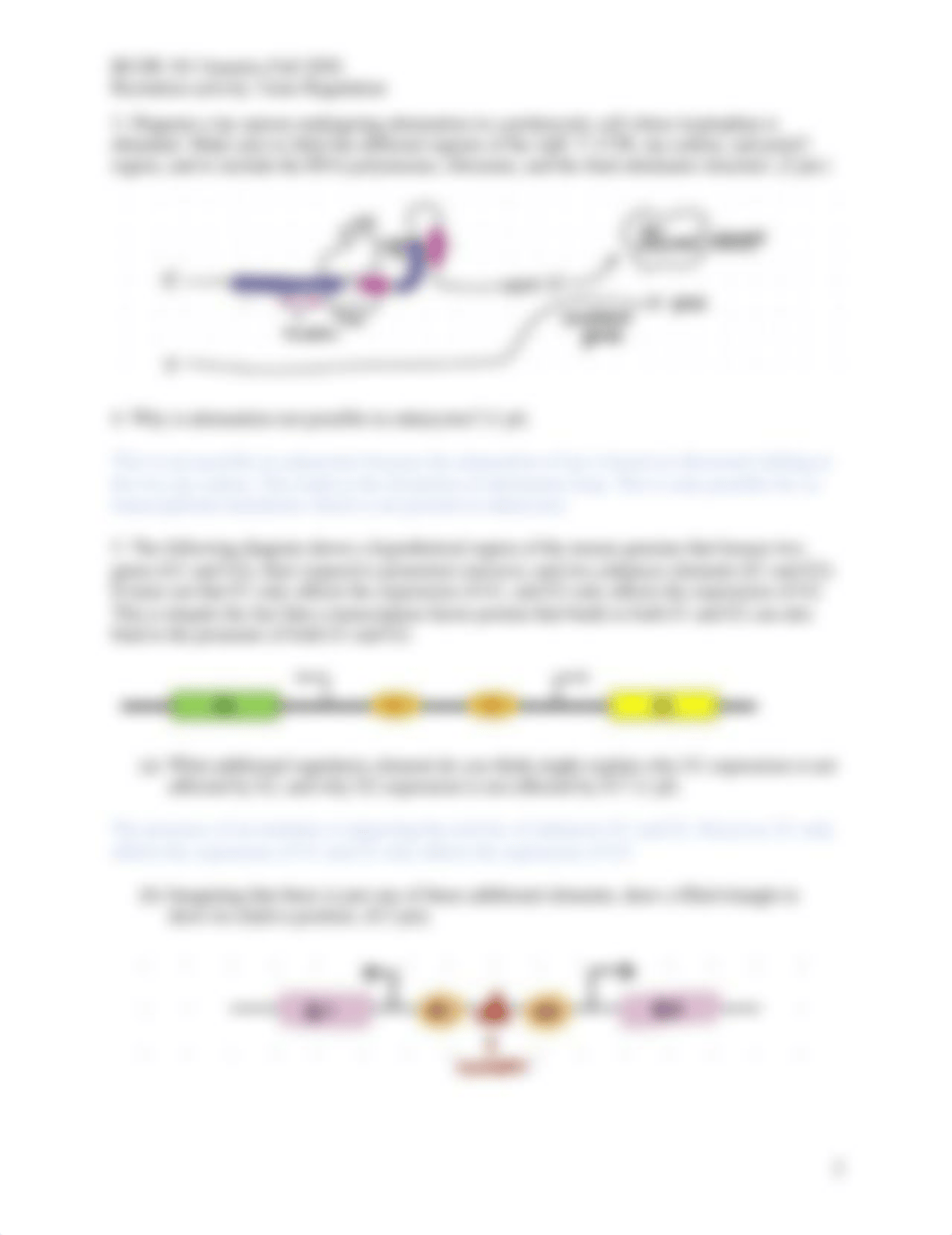 10_GeneRegulation_Problems_2020.pdf_dtdote6pzkm_page2