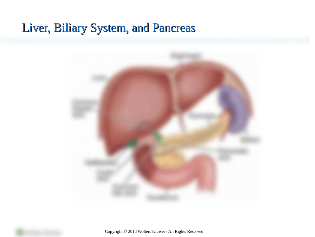 PPT_Chapter44 Gallbladder_Pancreatitis 2022F.pptx_dtdtnxd6cb8_page3