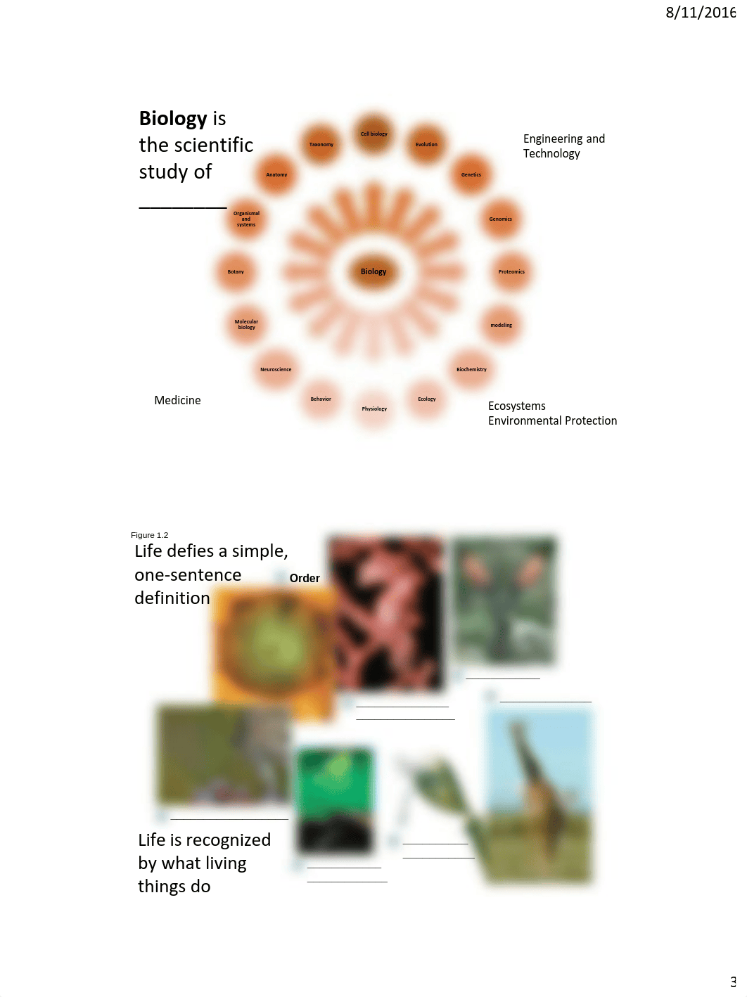 BIOL 110 Fall 2016 Lecture 1 c.pdf_dtdvut0u4wy_page3