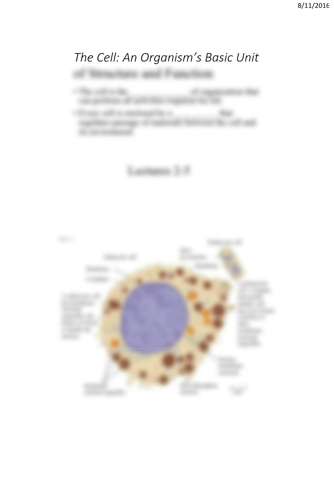 BIOL 110 Fall 2016 Lecture 1 c.pdf_dtdvut0u4wy_page5