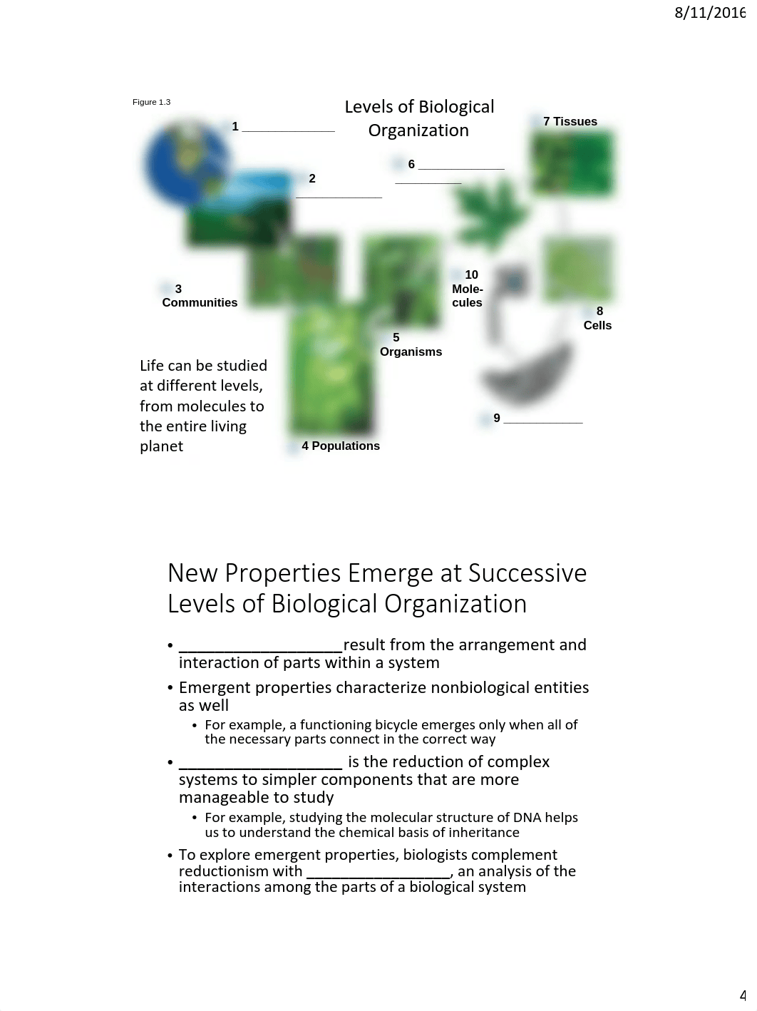 BIOL 110 Fall 2016 Lecture 1 c.pdf_dtdvut0u4wy_page4