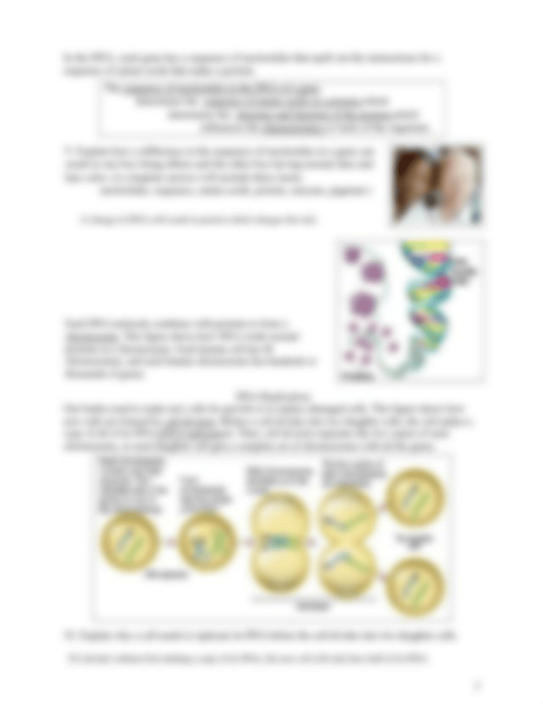 2024 Tyler Rantz - DNA replication.pdf_dte7eoyo4td_page3